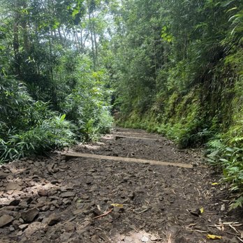 Mānoa Falls Trail - Hiking Near Me - Honolulu, Hawaii