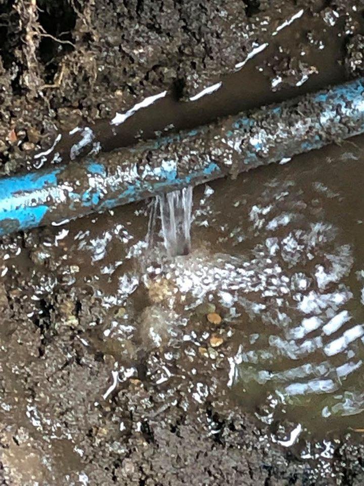 Slide of The Drain Doctors, Inc