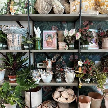 Paraíso Plant Studio - Nurseries & Gardening Near Me - Berkeley, California Paraíso Plant Studio - Nurseries & Gardening Near Me - Berkeley, California