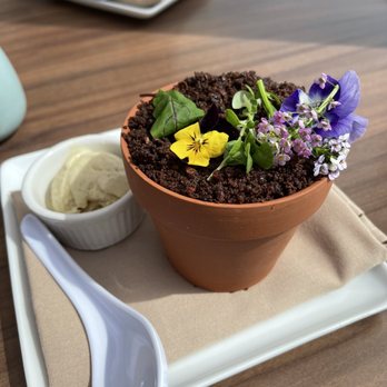 Splashes Restaurant - yummy! - New American Near Me - Laguna Beach, California