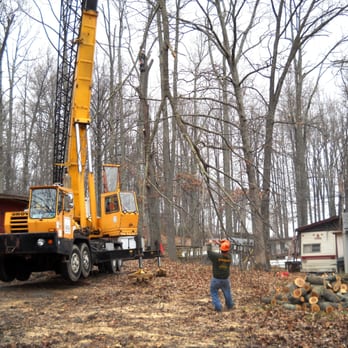 Executive Tree Service - Tree Services Near Me - Stafford, Virginia Executive Tree Service - Tree Services Near Me - Stafford, Virginia