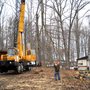 Photo of Executive Tree Service