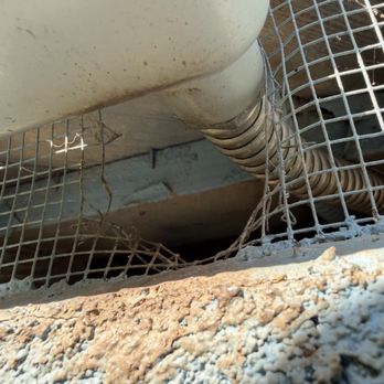 Rodent Control - Rat entrance at ground-level vent - Pest Control Near Me - Los Angeles, California Rodent Control - Rat entrance at ground-level vent - Pest Control Near Me - Los Angeles, California
