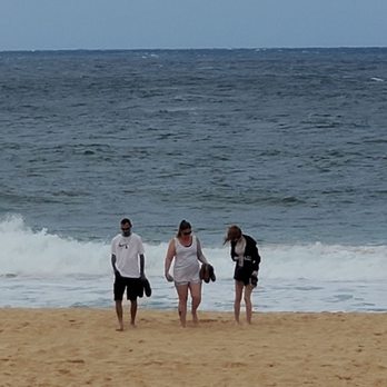 Custom Island Tours - Banzai Beach - Tours Near Me - Honolulu, Hawaii Custom Island Tours - Banzai Beach - Tours Near Me - Honolulu, Hawaii