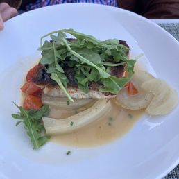 Rockfish Rockfish