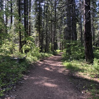 Lake Wenatchee State Park - Trail to the lake - Parks Near Me - Leavenworth, Washington Lake Wenatchee State Park - Trail to the lake - Parks Near Me - Leavenworth, Washington