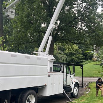 Hernandez Tree Service - Tree Services Near Me - Cincinnati, Ohio