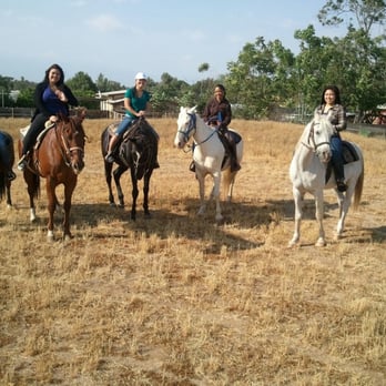 Everything Equine - Horseback Riding Near Me - Norco, California