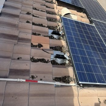 Pigeon Pros - Pigeon poop - Solar panels are mounted on a tiled roof, with visible pigeon droppings and debris around the mounting points. - Pest Control Near Me - Mesa, Arizona