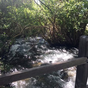 Grays Meadow Campground - Small bridge near camp host - Campgrounds Near Me - Independence, California Grays Meadow Campground - Small bridge near camp host - Campgrounds Near Me - Independence, California
