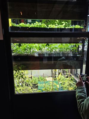 Frati restaurant by null