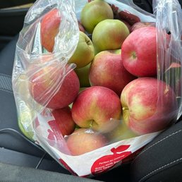 Assorted apples Assorted apples