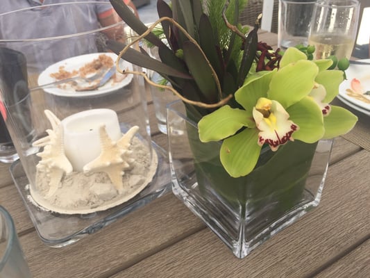 The Deck at Island Gardens by null