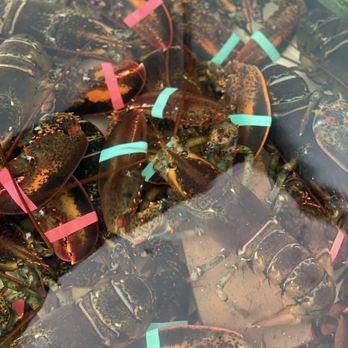 Karen's Hideaway - Live Lobster tank! - Seafood Near Me - Boothbay, Maine