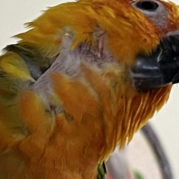 Garden State Pet Center - This never should be allowed to happen - Reptile Shops Near Me - Audubon, New Jersey