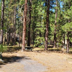 Walt's RV Park