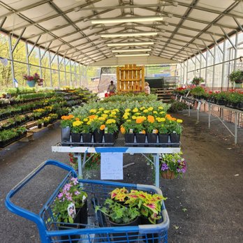 380 Auction Discount Warehouse - Discount Store Near Me - Murrysville, Pennsylvania 380 Auction Discount Warehouse - Discount Store Near Me - Murrysville, Pennsylvania