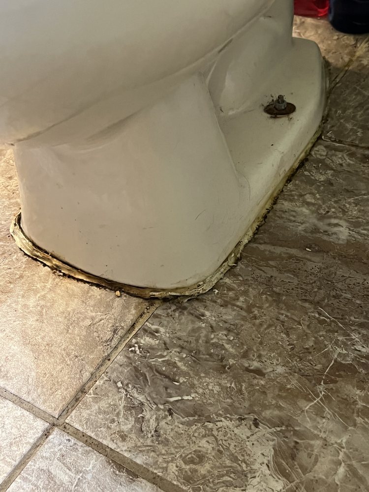 Slide of Professor plumber