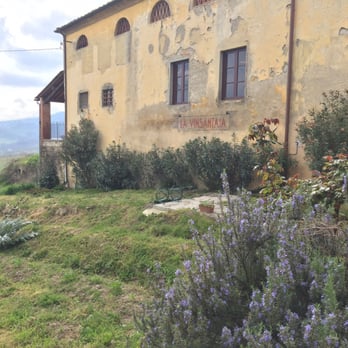 Vinsantaia - L'orto dello chef con vista - Wineries Near Me - Carmignano, PO Vinsantaia - L'orto dello chef con vista - Wineries Near Me - Carmignano, PO