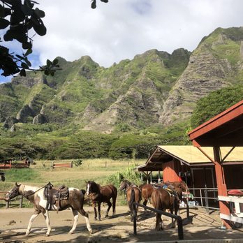 Kualoa Ranch - Tours Near Me - Kaneohe, Hawaii