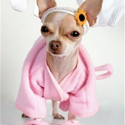 Animalerie Rouki Froufrou