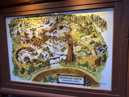 Redwood Creek Challenge Trail by null