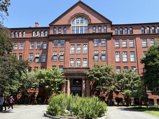 The Harvard Museum of Natural History by null