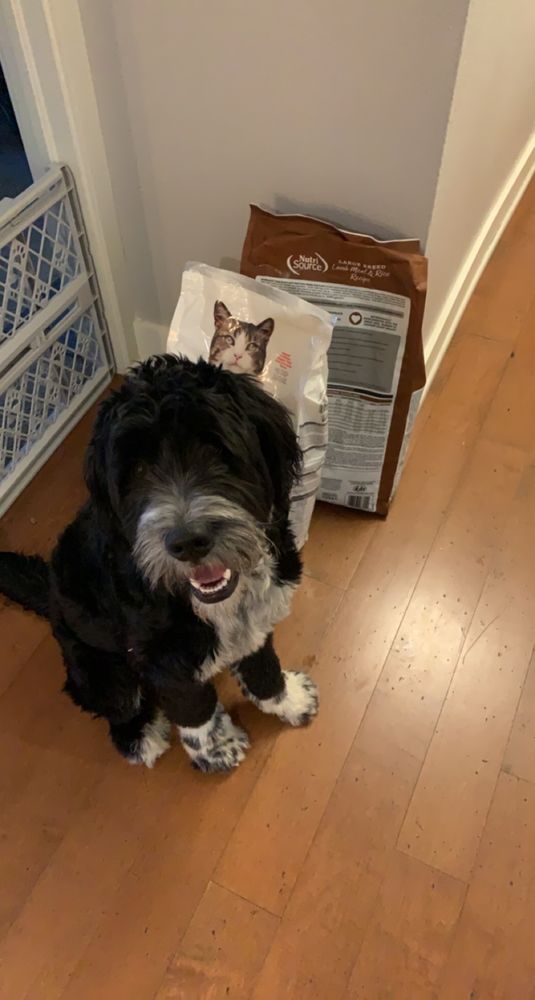 POUDRE PET & FEED SUPPLY Updated September 2024 22 Photos & 28