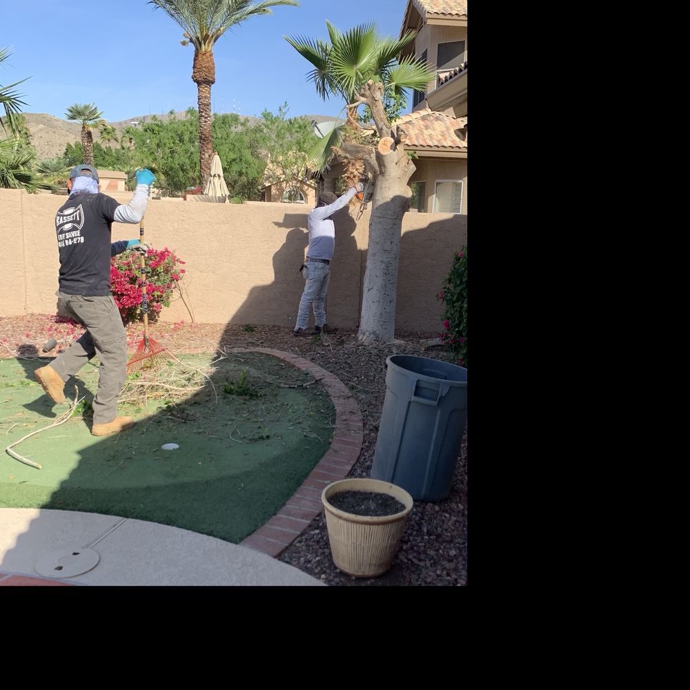 Bassett Tree Service - Going... - Tree Services Near Me - Mesa, Arizona Bassett Tree Service - Going... - Tree Services Near Me - Mesa, Arizona