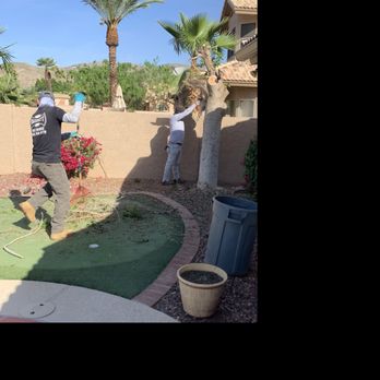 Bassett Tree Service - Going... - Tree Services Near Me - Mesa, Arizona Bassett Tree Service - Going... - Tree Services Near Me - Mesa, Arizona