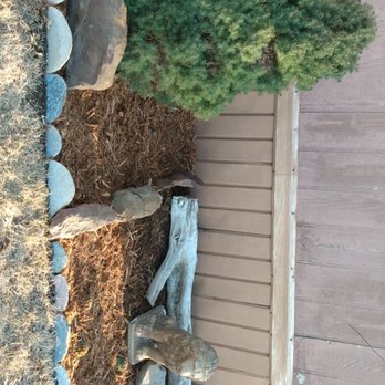 Wolverine Landscapes - Miniature dwarf blue spruce, green ball cacti, river rock and limestone boarder - Landscaping Near Me Wolverine Landscapes - Miniature dwarf blue spruce, green ball cacti, river rock and limestone boarder - Landscaping Near Me
