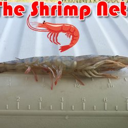 The Shrimp Net - Jumbo shrimp