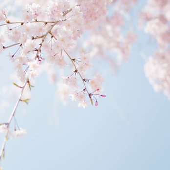 Harmony Day Spa - Day Spas Near Me - Caldwell, New Jersey Harmony Day Spa - Day Spas Near Me - Caldwell, New Jersey
