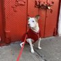 Photo of Good Time Pet Care