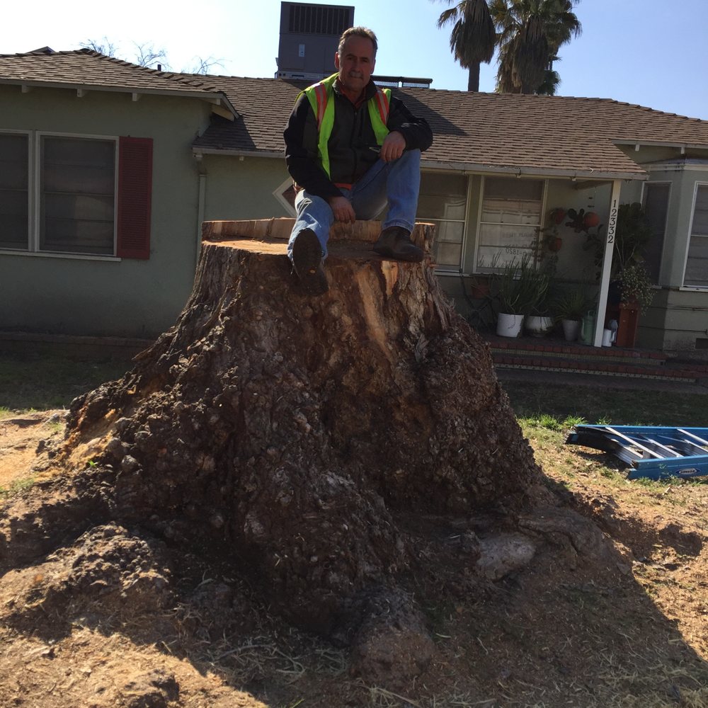 THE BEST 10 TREE SERVICES near CALABASAS, CA 91302 - Updated 2026 - Hours -  Yelp