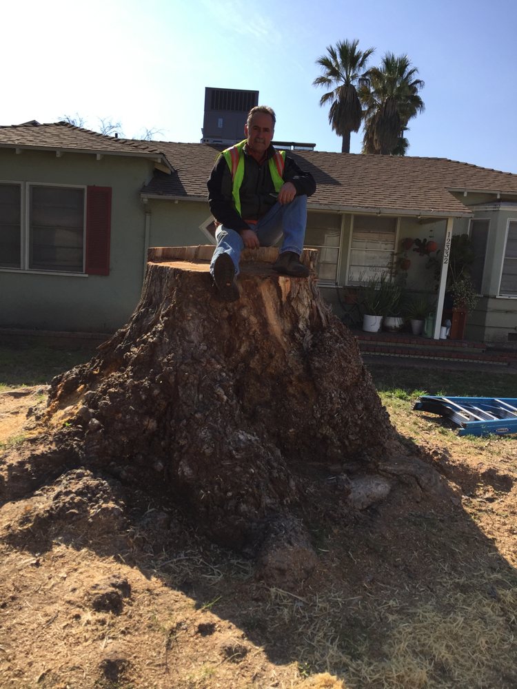 All About Trees - tree service in West Hills, CA