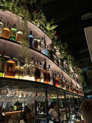 V Modern Italian by null