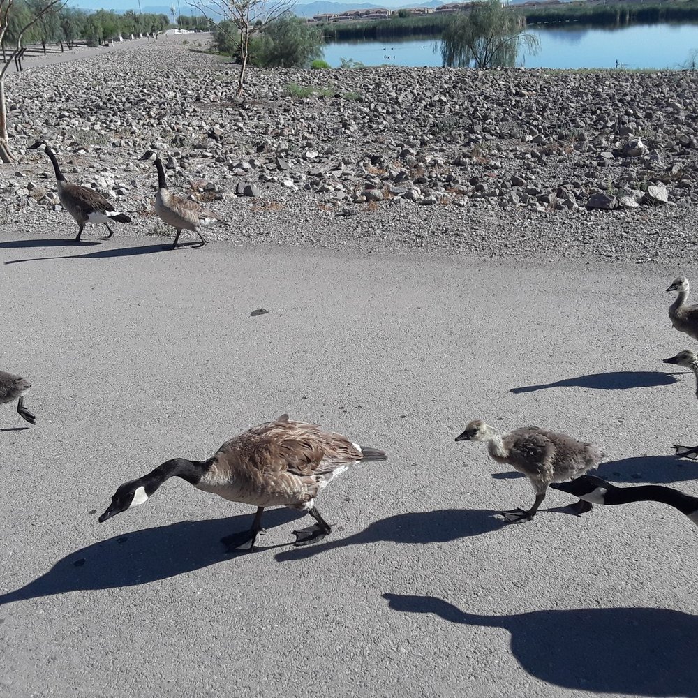 Cornerstone Park - Lakes Near Me - Henderson, Nevada