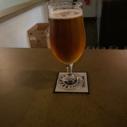 Dragoon Ipa - A tall, stemmed glass filled with amber beer sits on a bar counter, with a coaster underneath. The background shows a dimly lit bar area.