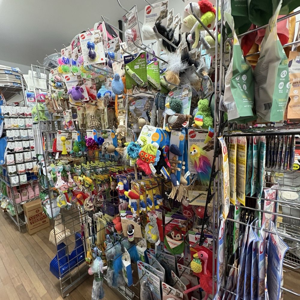 Little Creatures - Plenty of cat toys - Pet Stores Near Me - New York, New York Little Creatures - Plenty of cat toys - Pet Stores Near Me - New York, New York