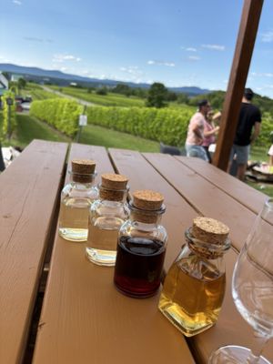 Ste-Pétronille - Winery & Cidery by null