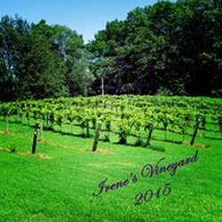 Irene's Vineyard