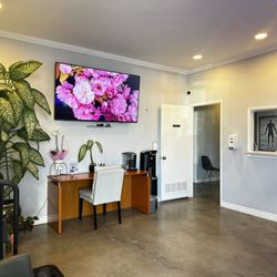Chiropractic Elevated