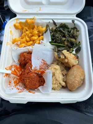 The Reizod Vegan Experience by null