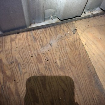 Extra Space Storage - Premium Quality Mouse Droppings at Extra Space Storage in Saxonville. Site Manager Ray's Special - Free! - Self Storage Near Me - Framingham, Massachusetts