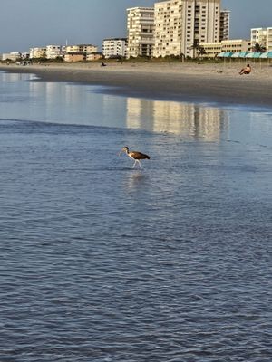 Lori Wilson Park by null