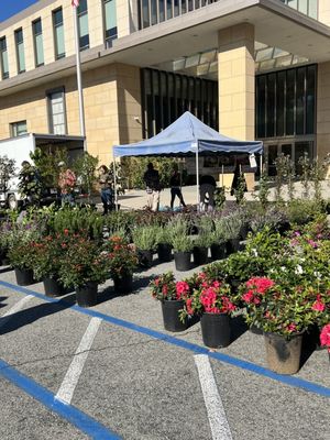 Burbank Farmers Market by null