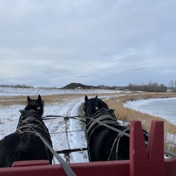 Putting Horse Ranch - Horse Drawn rides and rides by appointment. Mini golf and events.