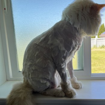 Sunnyside Veterinary Clinic - Veterinarians Near Me - Idaho Falls, Idaho Sunnyside Veterinary Clinic - Veterinarians Near Me - Idaho Falls, Idaho