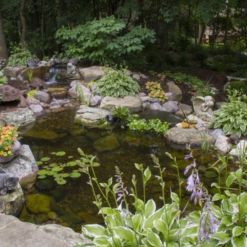 Piedmont Aquascapes - a pond surrounded by plants - Landscaping Near Me Piedmont Aquascapes - a pond surrounded by plants - Landscaping Near Me